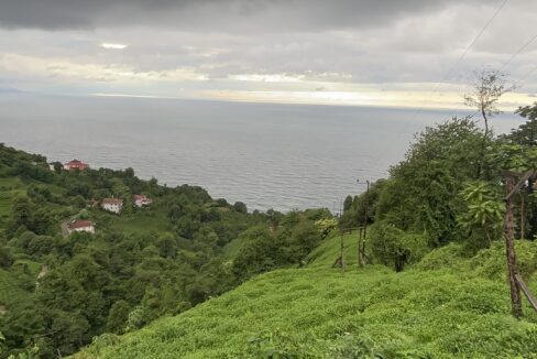 IMG_9838